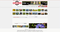 Desktop Screenshot of onlinephotographers.org