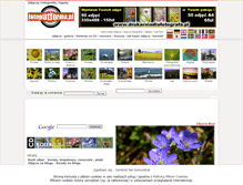 Tablet Screenshot of onlinephotographers.org